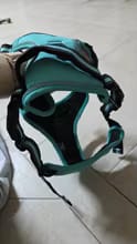 Customer photo review of No Pull Dog Harness – Soft Air-Mesh Vest with Front & Back Clips, Reflective Trim and Padded Handle