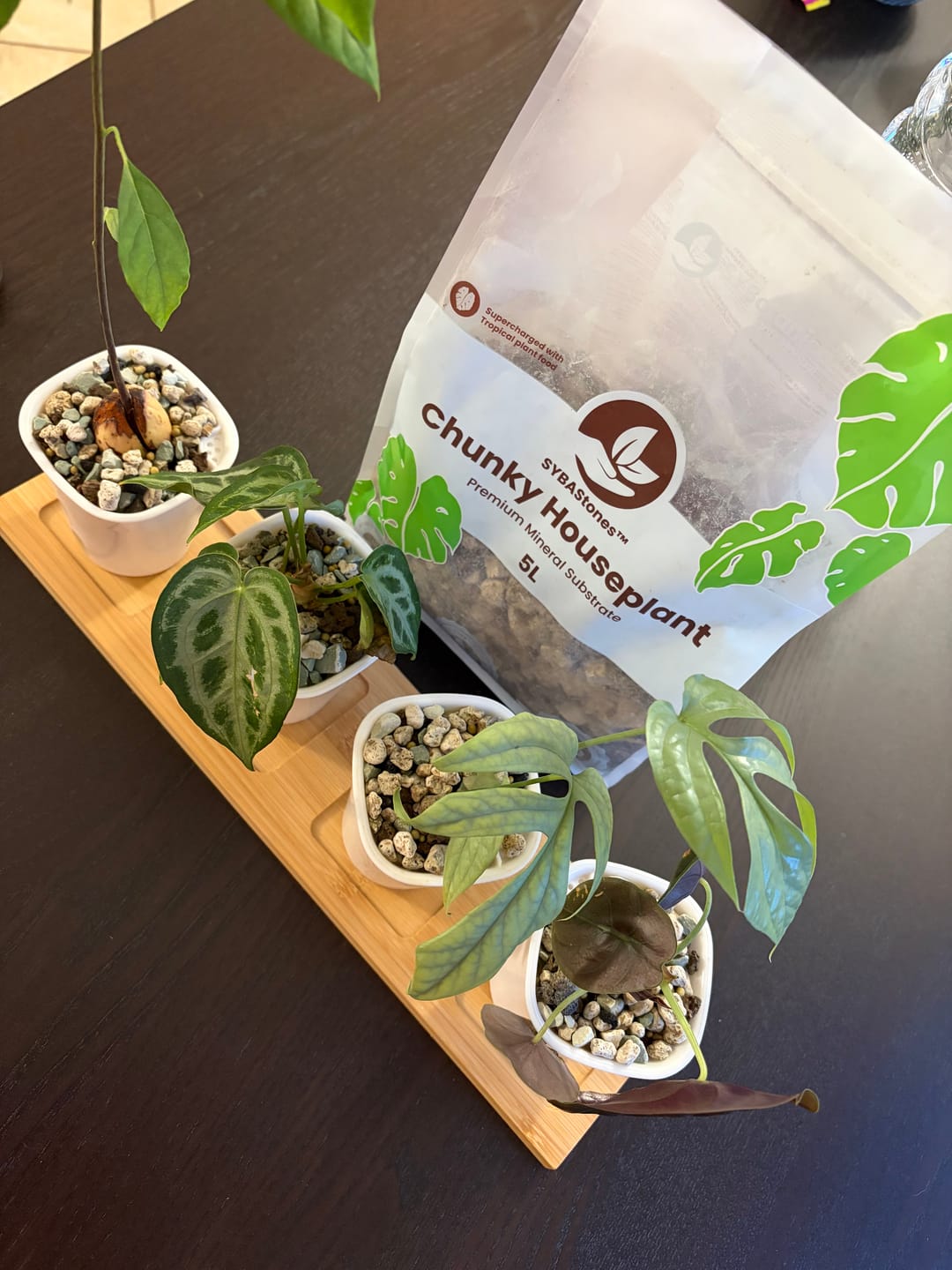 Customer photo review of Fine Houseplant Mineral Mix