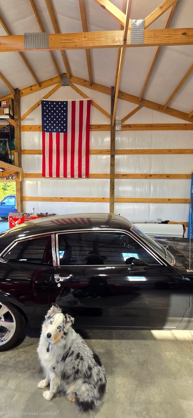 Customer photo review of 3' x 5' American Flag Set