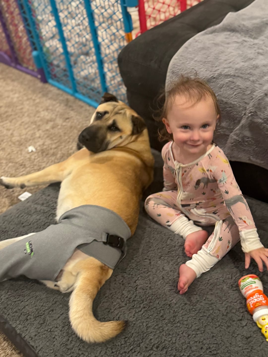 Customer photo review of Lick Sleeve® Leg Sleeve