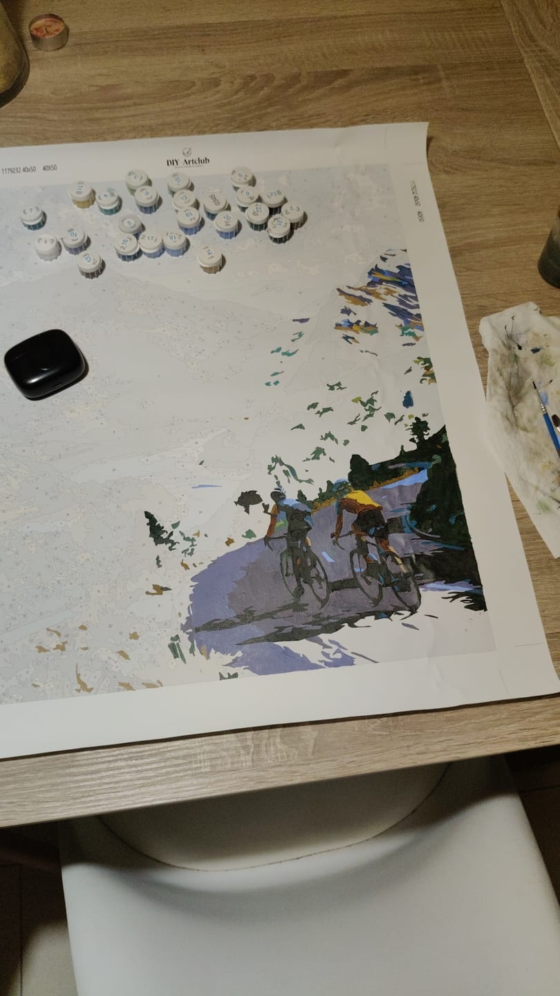 Customer photo review of Summit Ride | Paint by Number