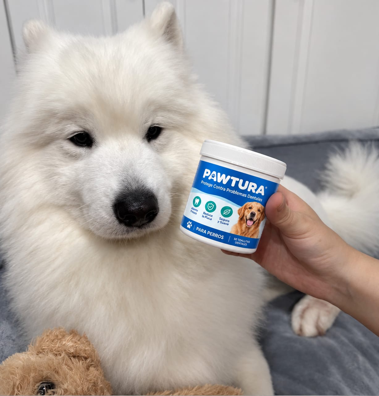 Customer photo review of Pawtura™ Toallitas Dentales para Perros