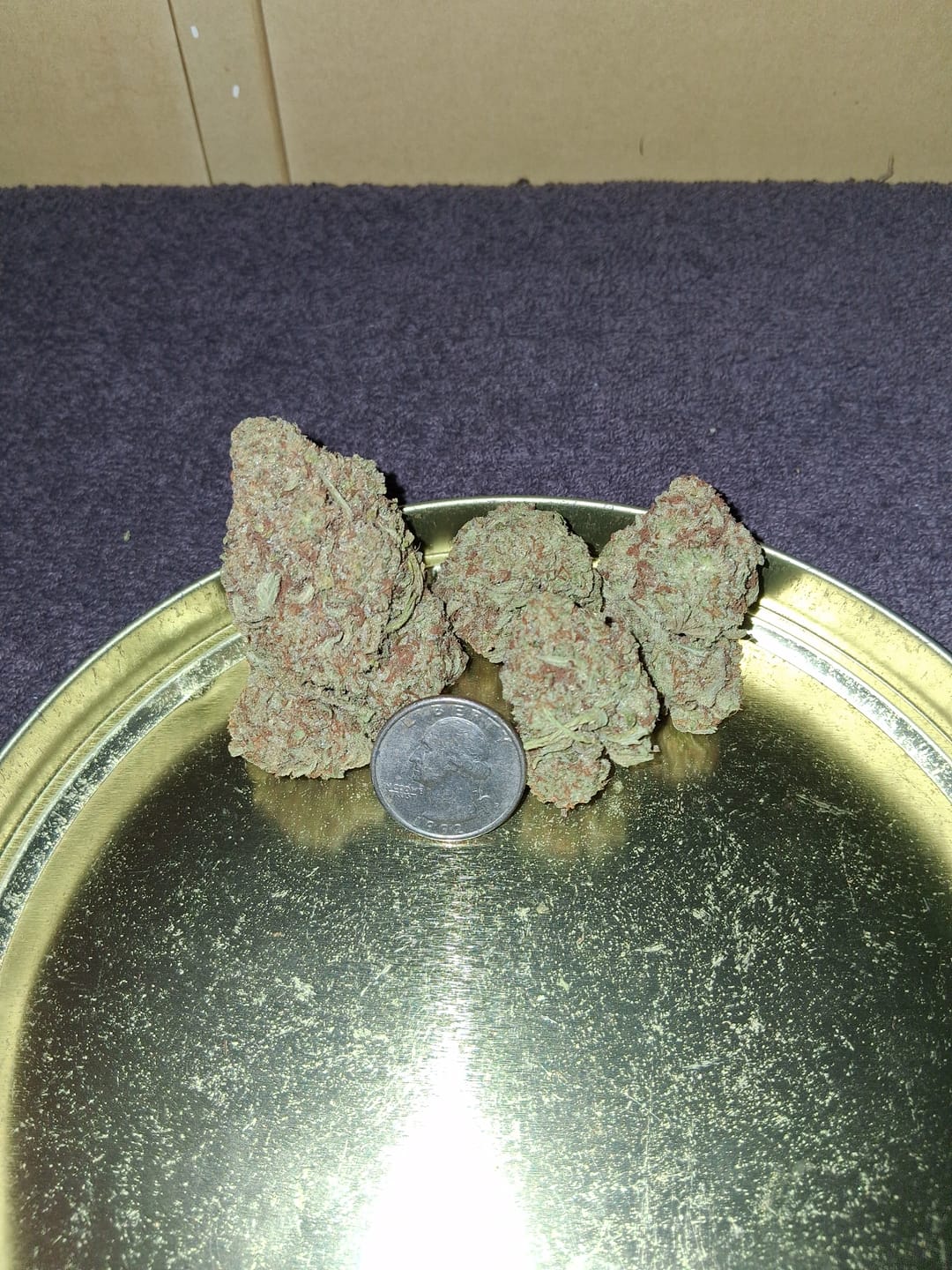 Customer photo review of OG Kush Light Dep THCA