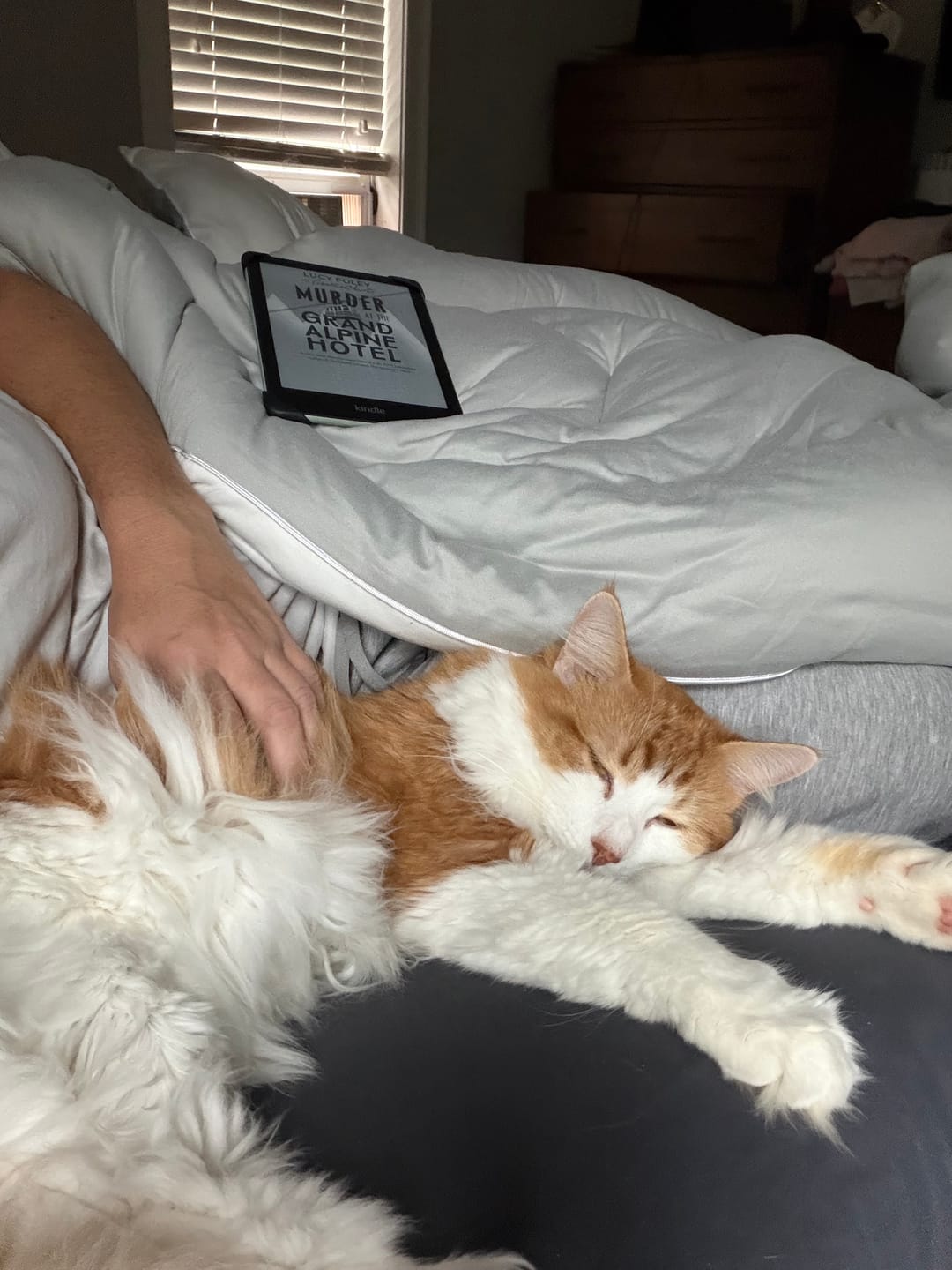 Customer photo review of MarshMellow Comforter