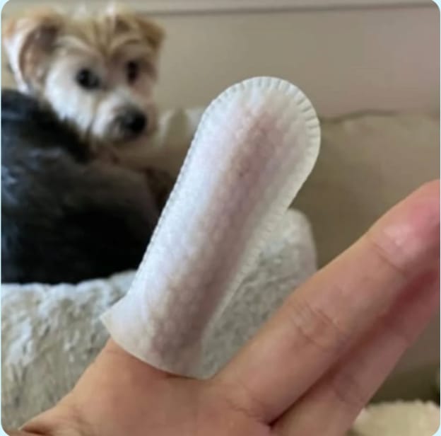 Customer photo review of Pawtura™ Toallitas Dentales para Perros