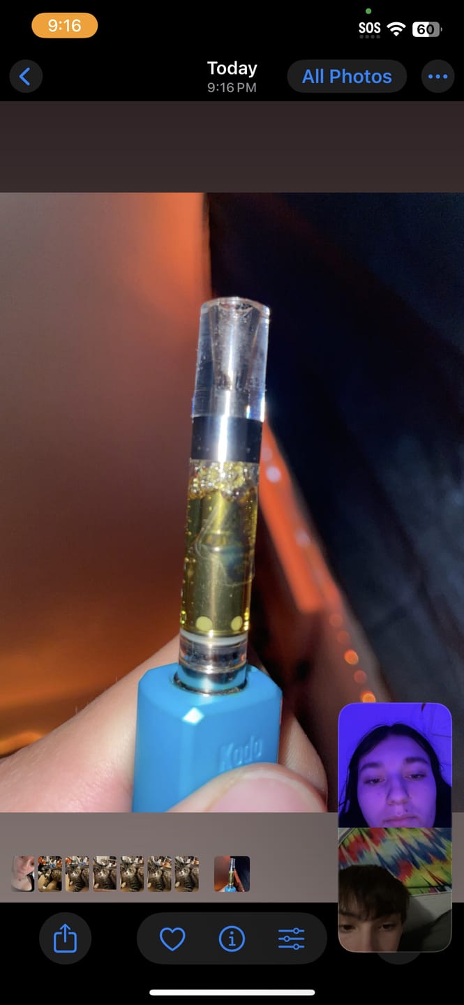 Customer photo review of Indoor Smalls