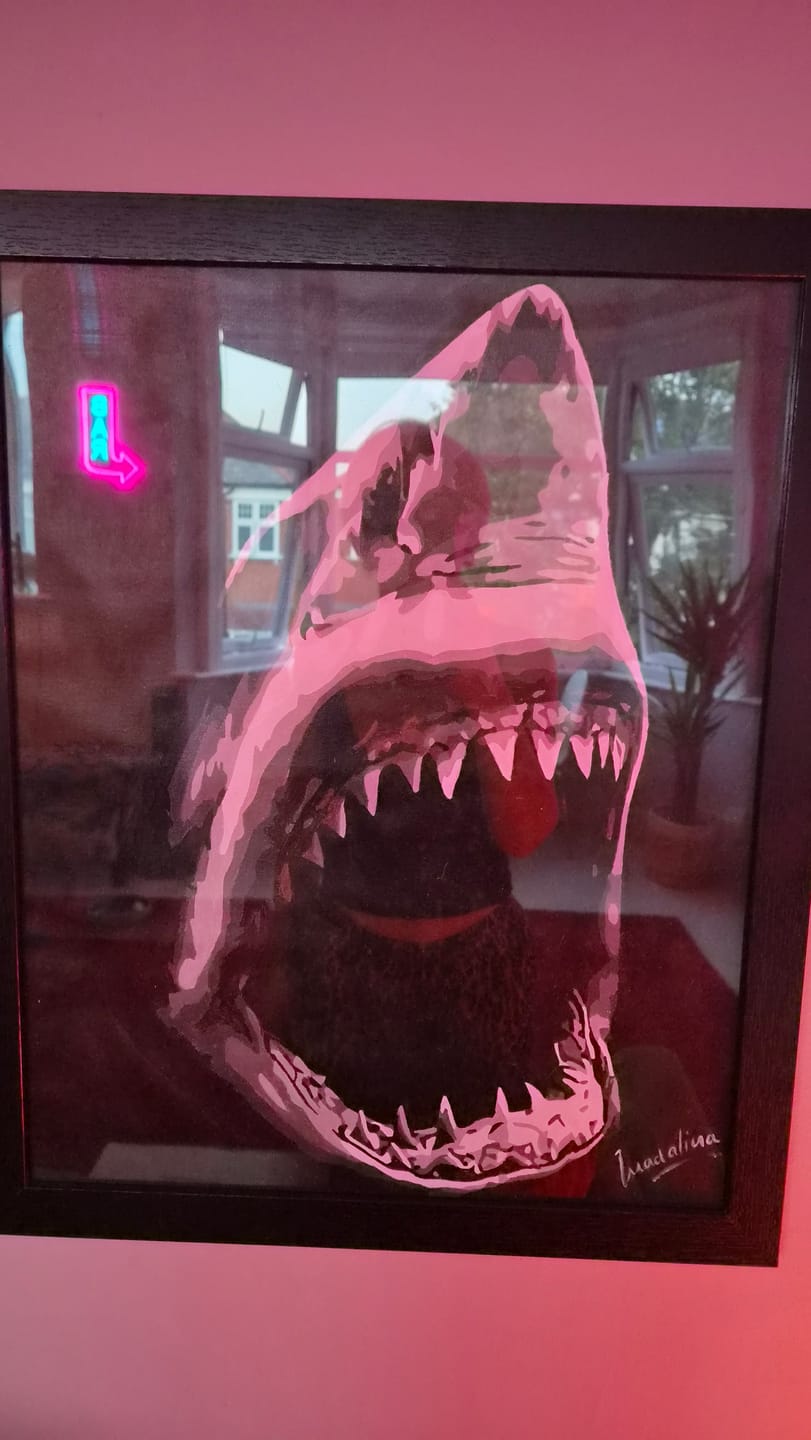 Customer photo review of Requin en noir et blanc