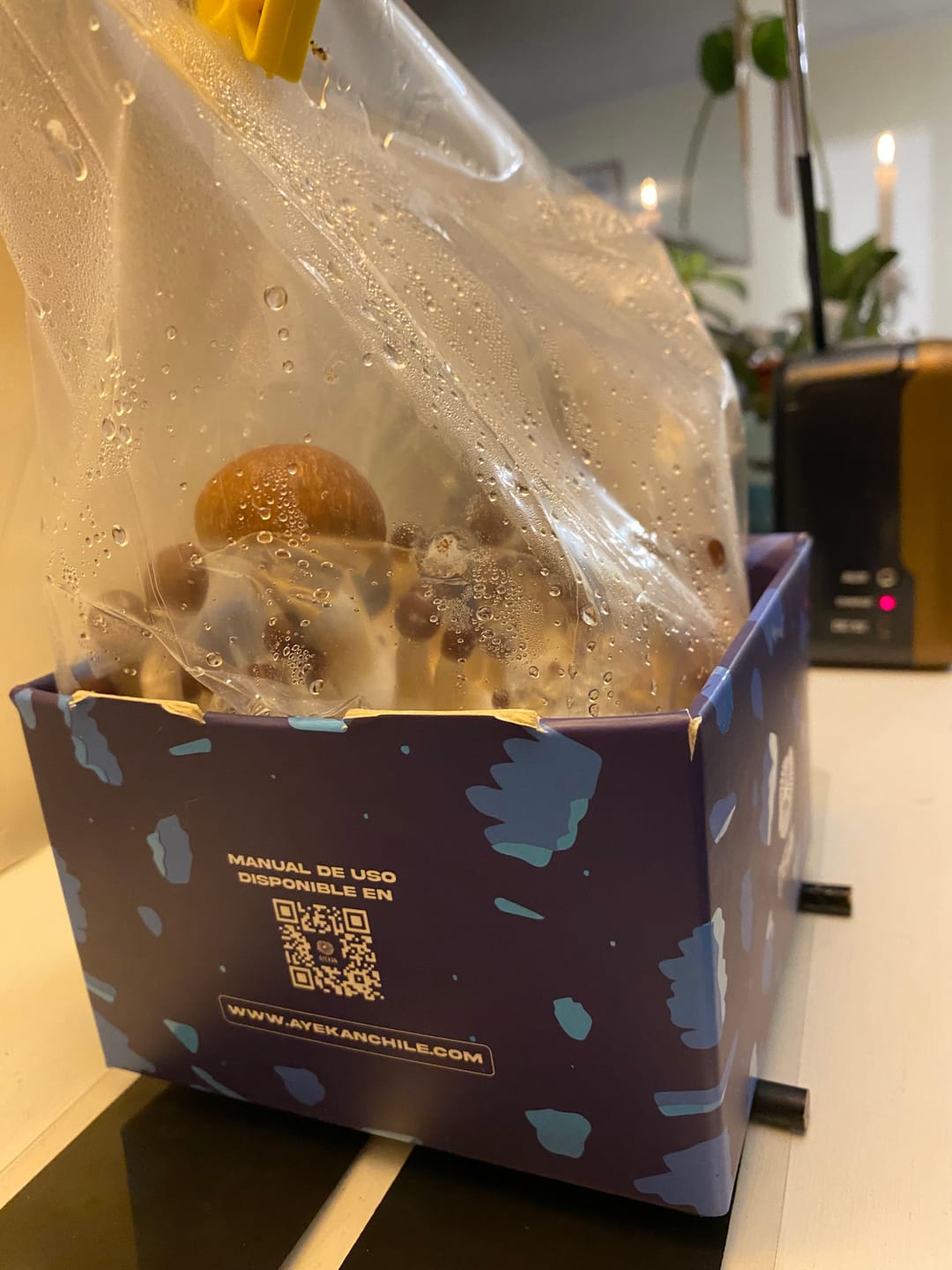 Customer photo review of Ayekan Box