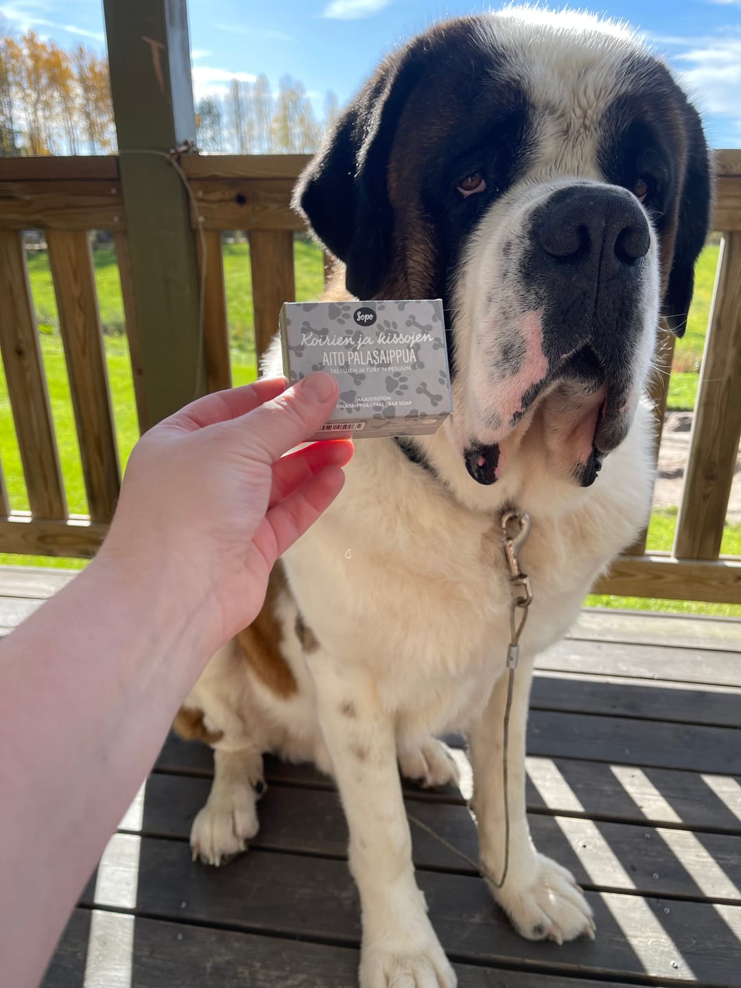 Customer photo review of Koirien ja Kissojen Aito Palasaippua