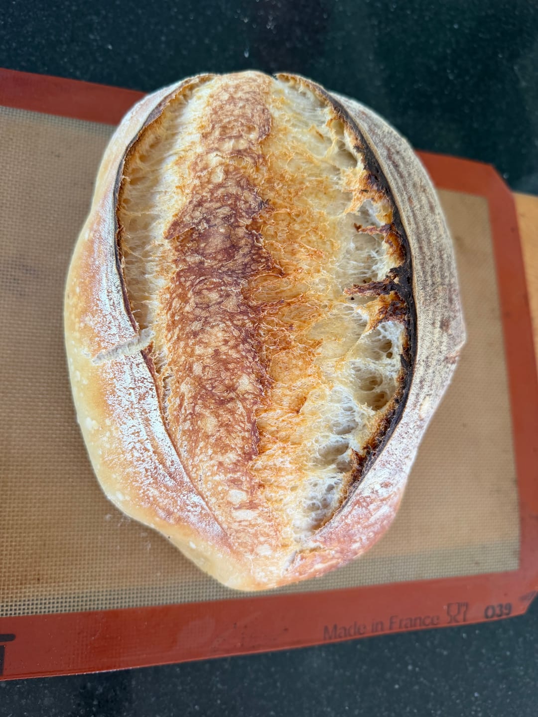 Customer photo review of Sourdough Starter Jar Set