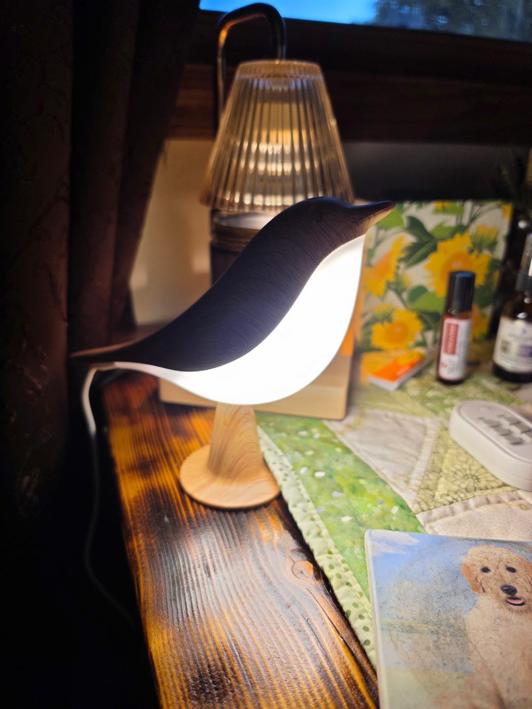 Customer photo review of Glow Bird