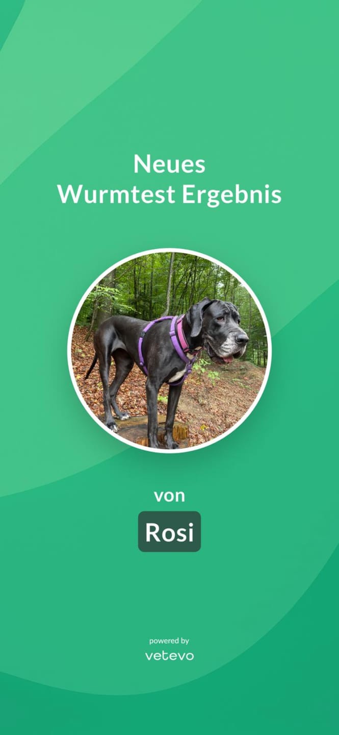 Customer photo review of Wurmtest Plus Hund