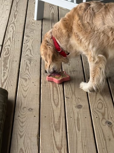 Customer photo review of FreezStar - Long-Lasting Star Chew