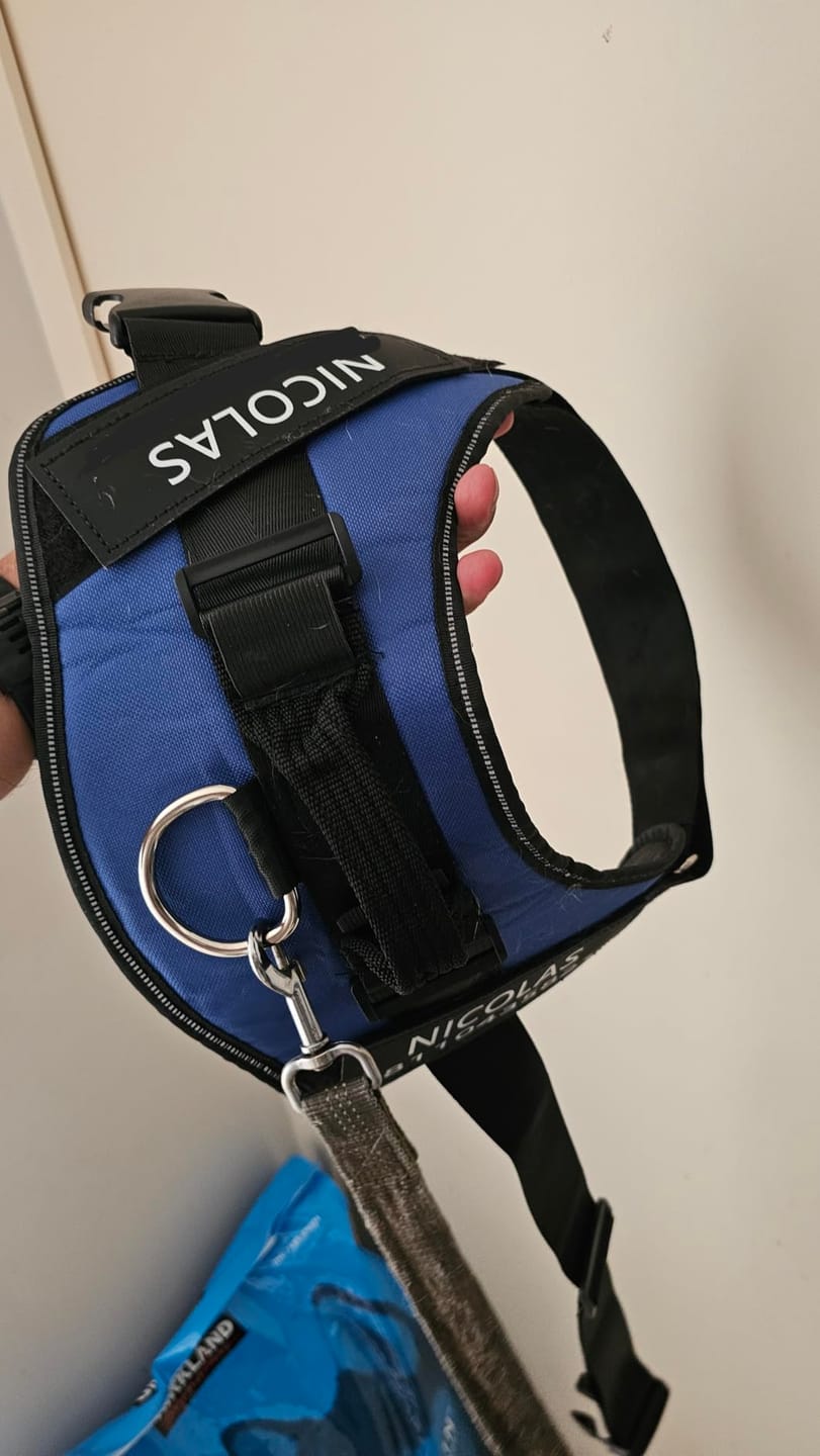 Customer photo review of No Pull Dog Harness