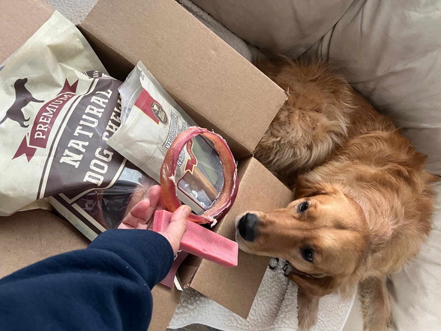 Customer photo review of Himalayan Yak Chew Flavour Pack