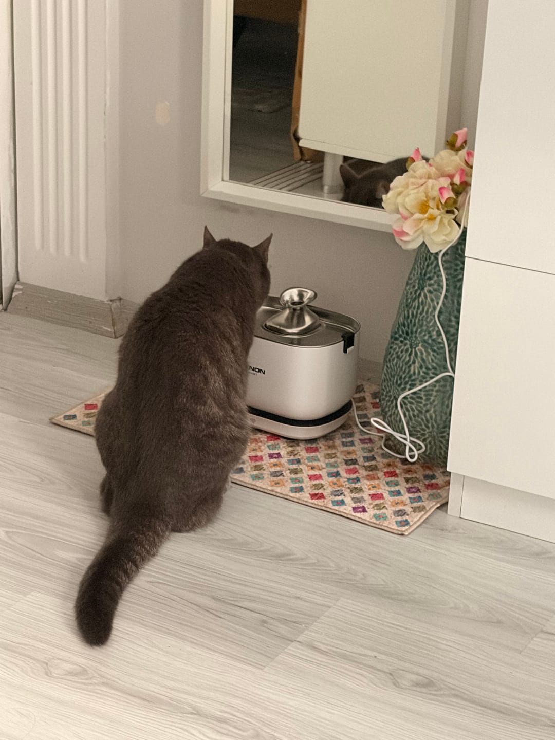 Customer photo review of Kedi Su Pınarı Filtresi (X8652 ve X8653 Uyumlu) | 4'lü Set, Fırça ve Süngerli Yedek Parça (X8783)
