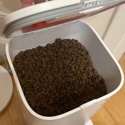 Customer photo review of OrbiPet Vision - Camera Smart Feeder