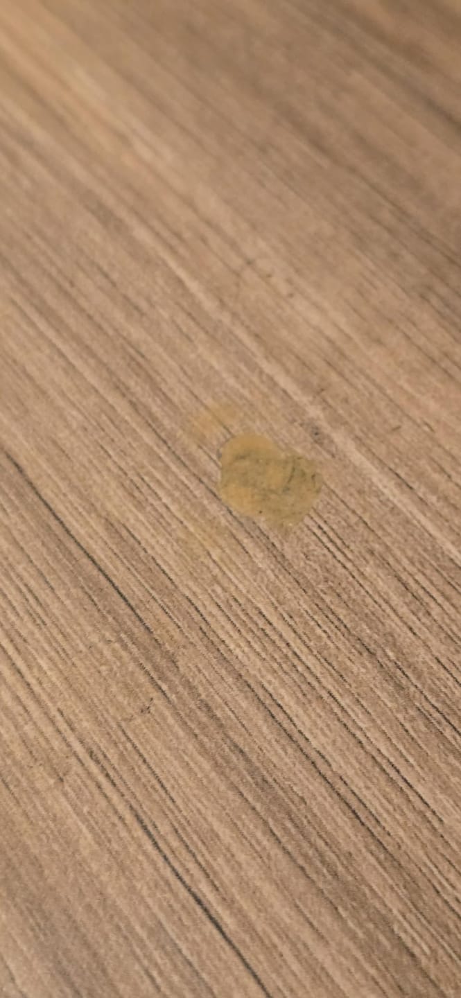 Customer photo review of Mastic à bois Aquelie pour fissures et trous