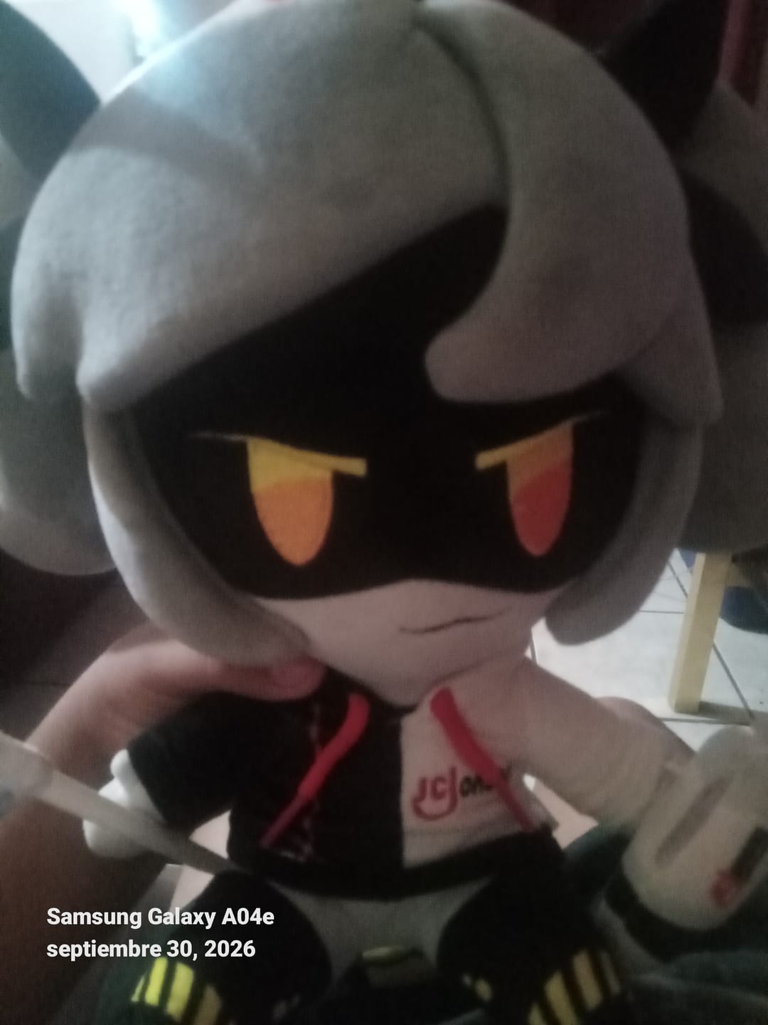 Customer photo review of JC Jenson J Plush