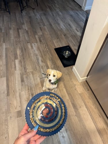 Customer photo review of FreezSwirl - Durable Stimulation Toy