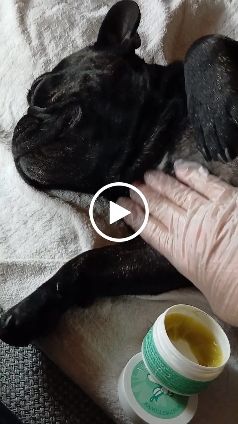 Customer video review of Panterbalsam