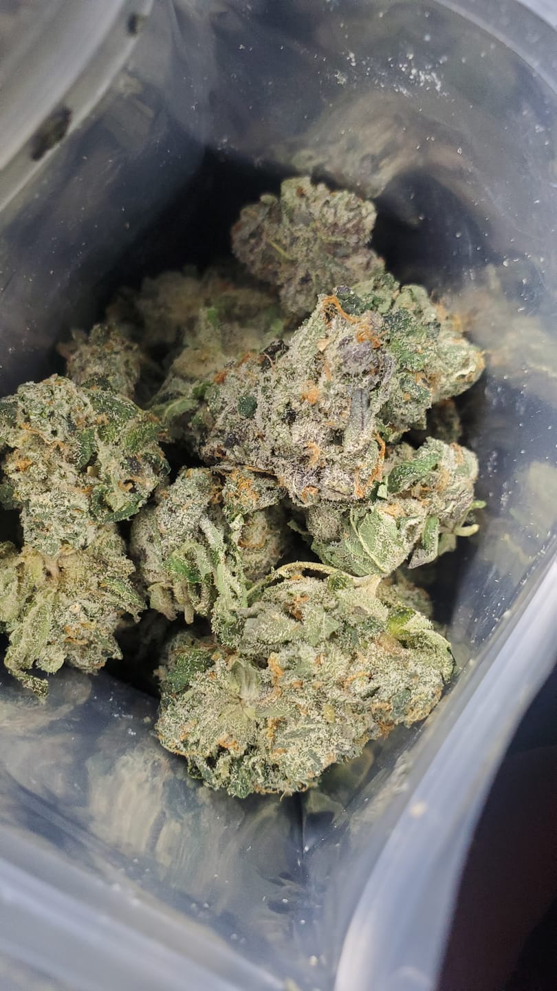 Customer photo review of Bruce Banner THCA Flower (Budget)