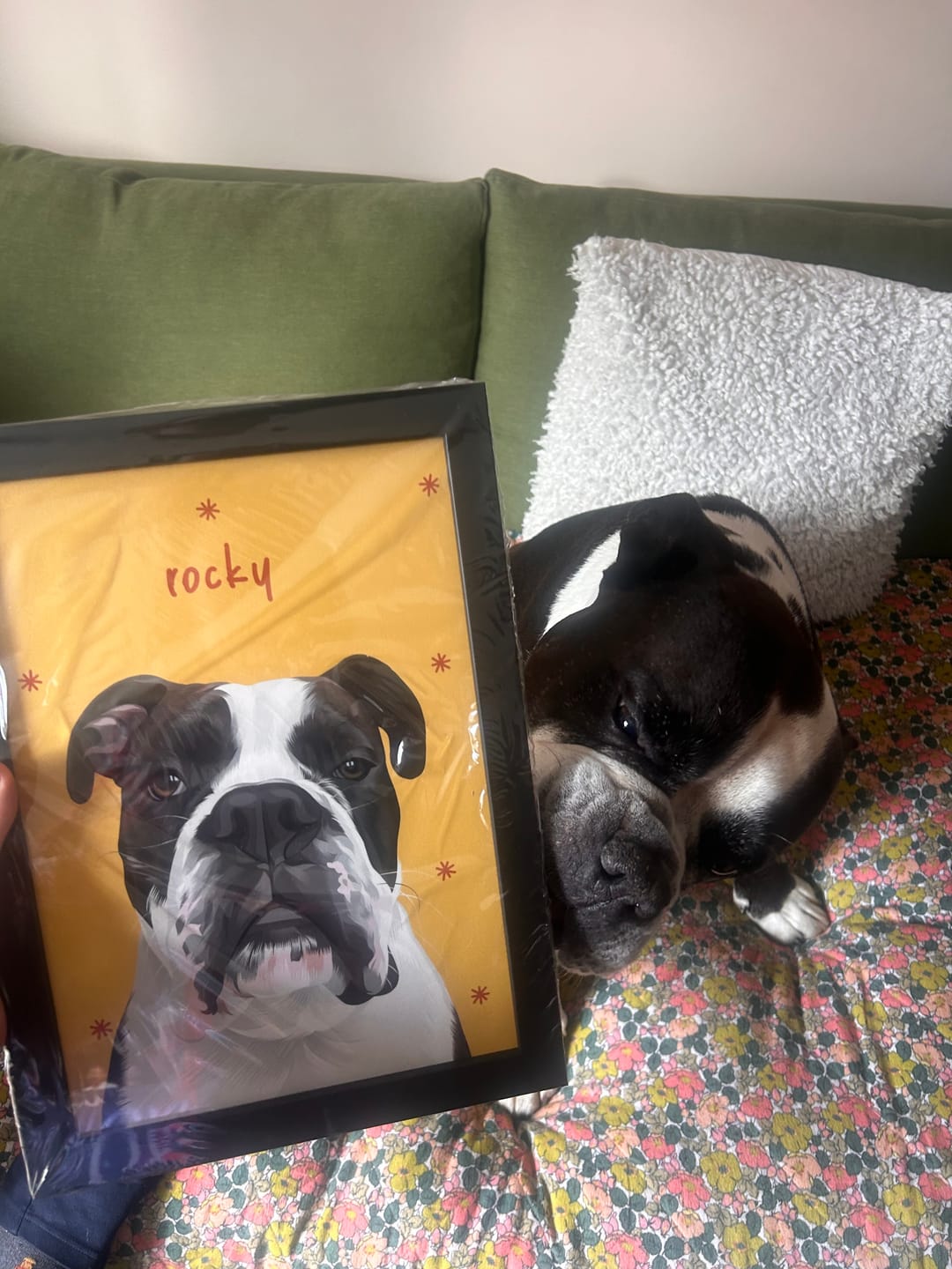 Customer photo review of Sunday Morning | Custom Pet Portrait
