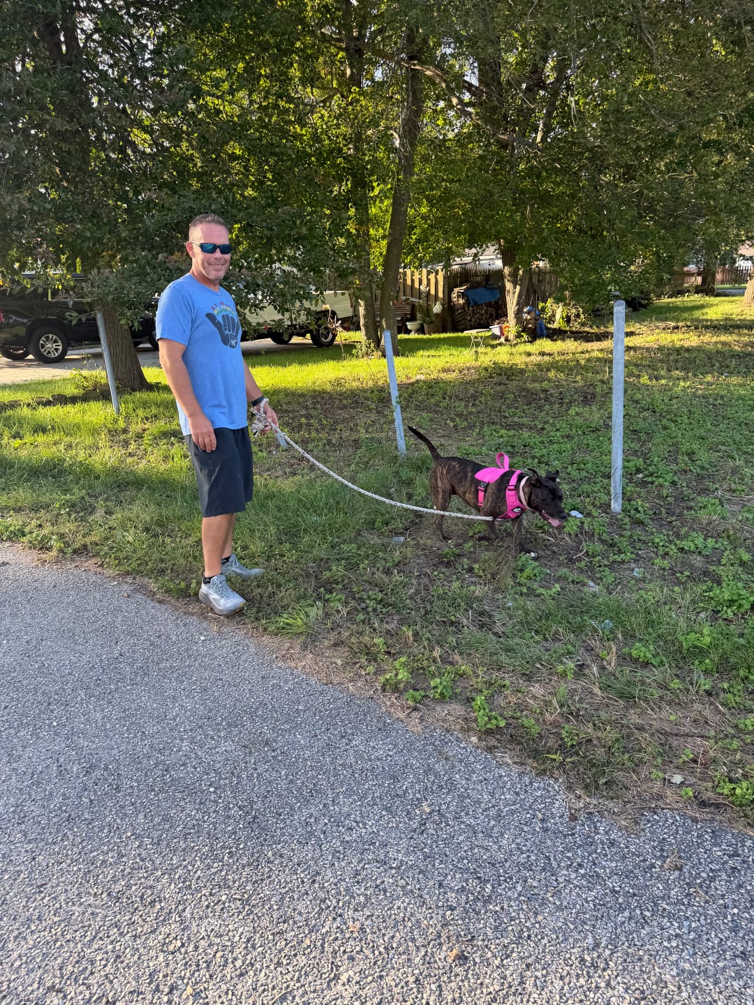 Customer photo review of No Pull Bully Proof Harness