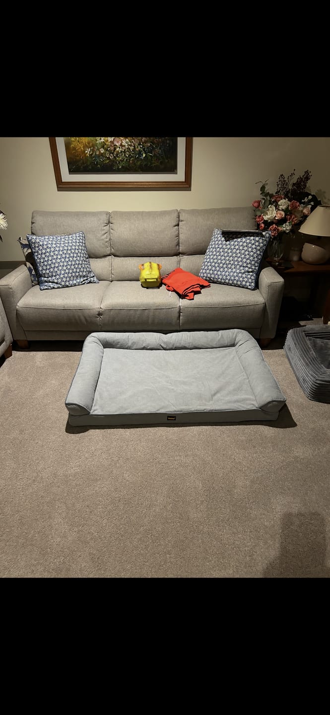 Customer photo review of Cooling Orthopedic Dog Bed Waterproof Lining Washable Memory Foam Pet Bed