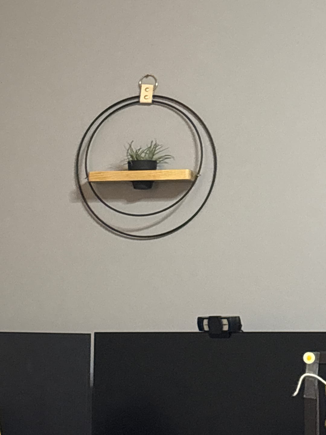 Customer photo review of Air Plant Shelf + Pot Duo