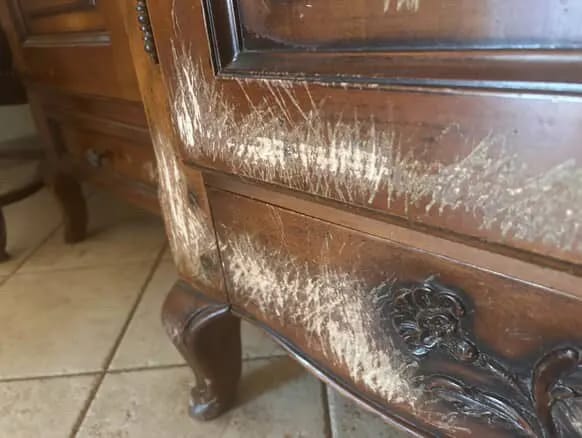 Customer photo review of Mastic à bois Aquelie pour fissures et trous