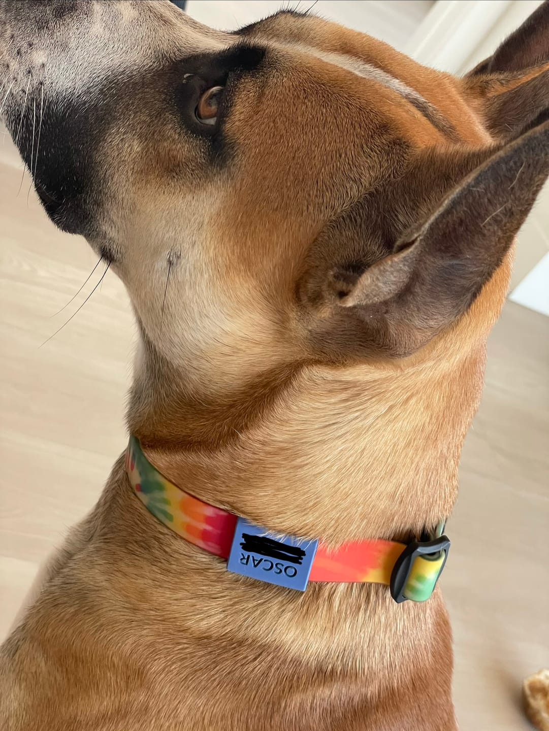 Customer photo review of Silent Slide-On ID Tag : 1"