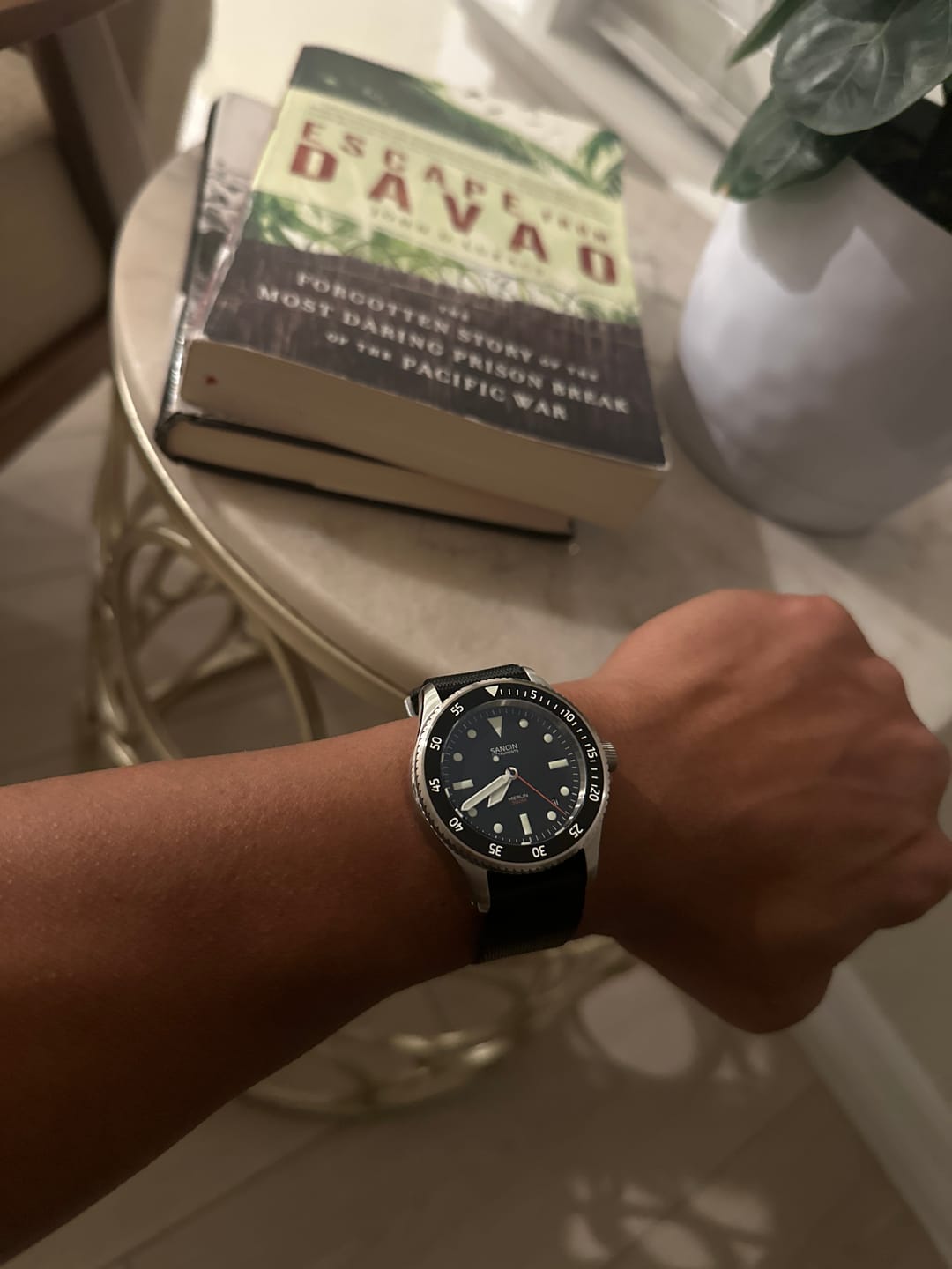 Customer photo review of Merlin (Private Release)