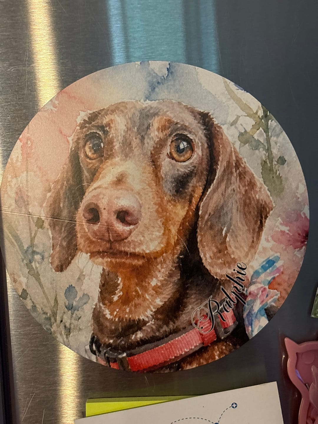 Customer photo review of Watercolor - Personalized Car Magnet