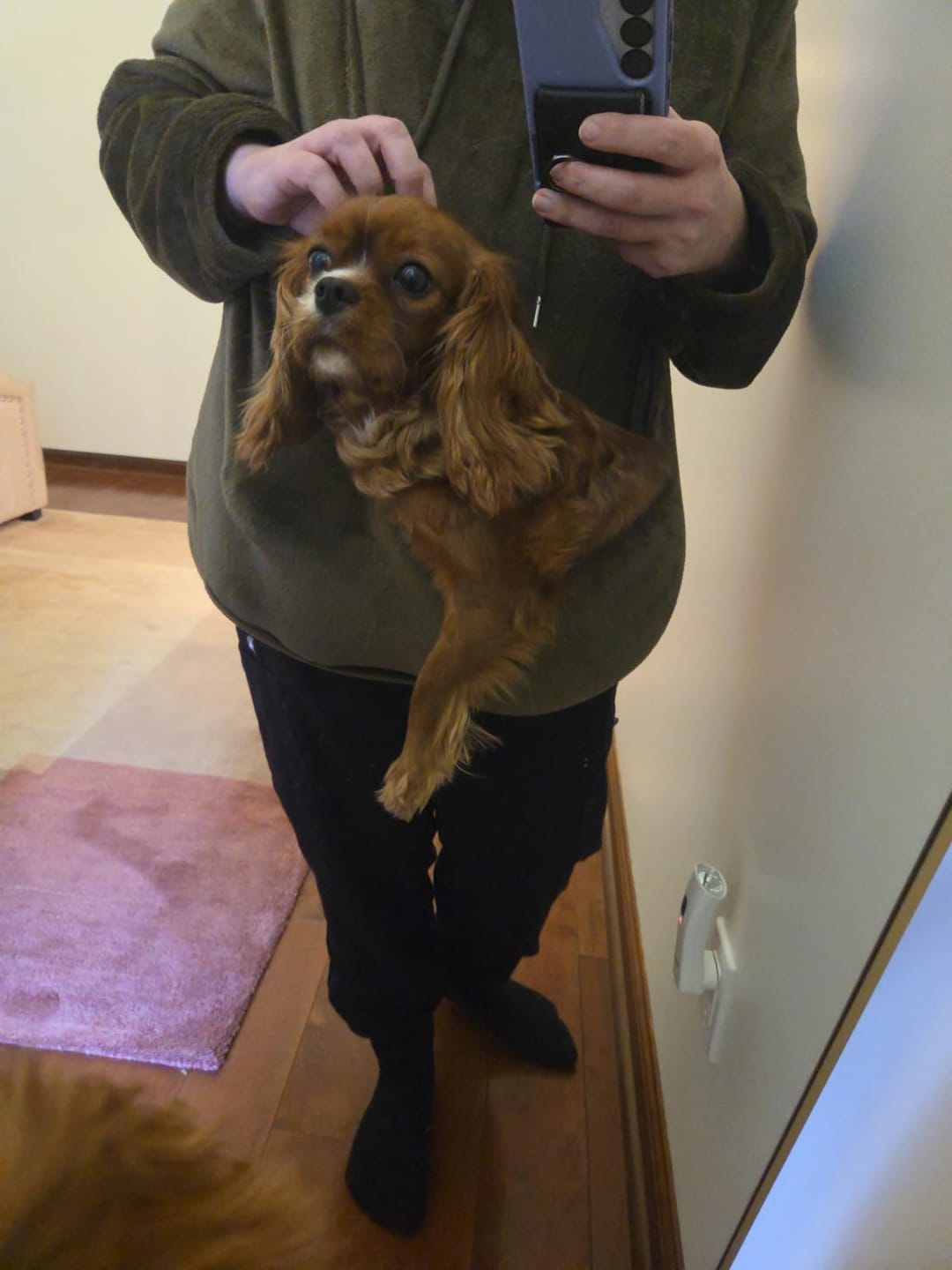 Customer photo review of Premium Pet Carrier Hoodie