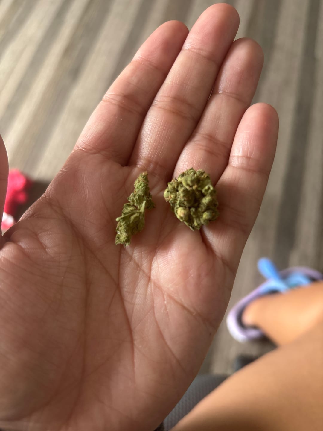 Customer photo review of LITTLES BRAND - Grape Gas - Littles - 28 Grams - Indica