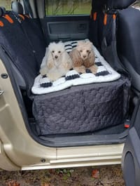 Customer photo review of Aktoclean RoadBed™️ – Extension de banquette rigide pour chien