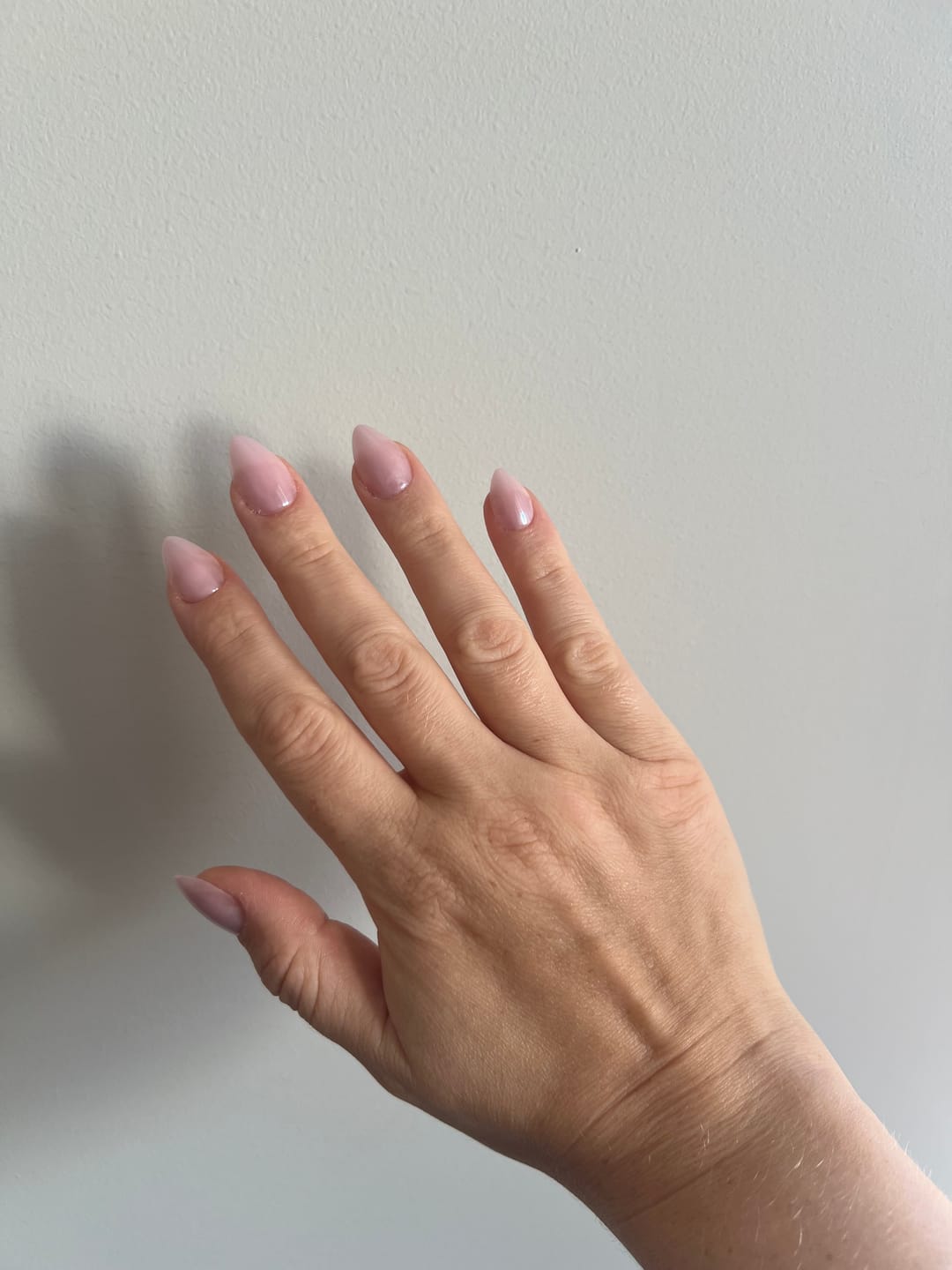 Customer photo review of Halo