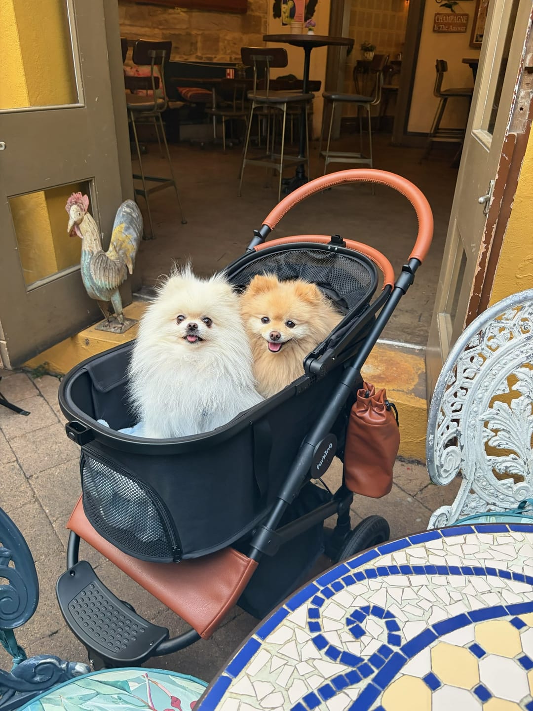 Customer photo review of Fur King Jogger Dog Pram