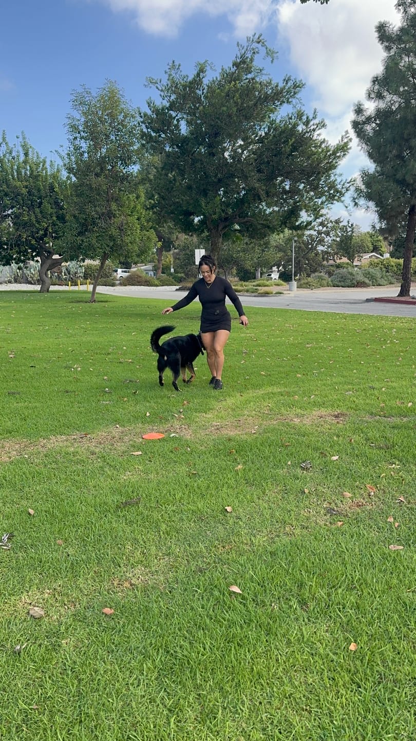 Customer photo review of Og T-shirt Dresses - Long Sleeve