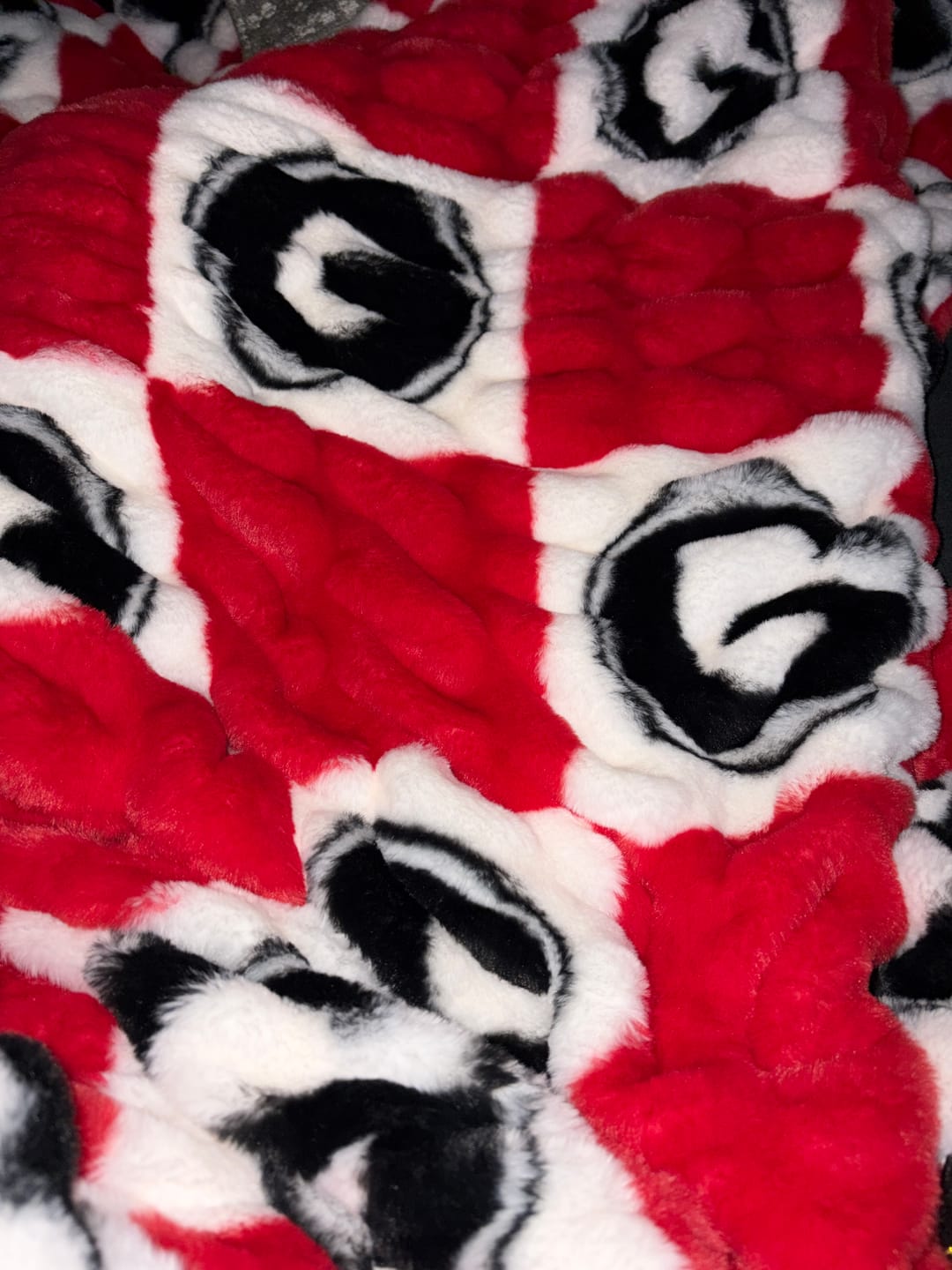 Customer photo review of Georgia Bulldogs Blanket - Hugs