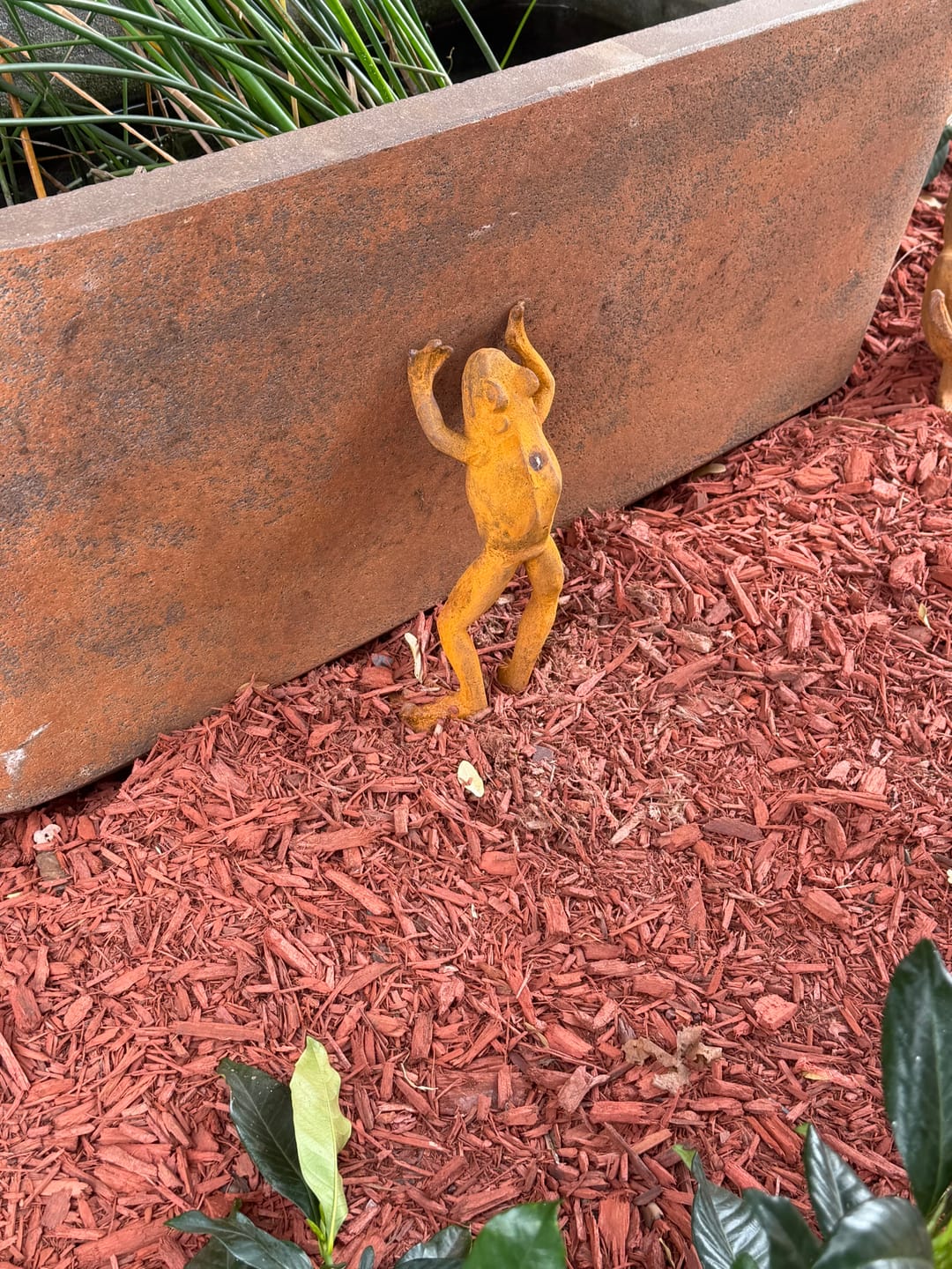 Customer photo review of The Frog Prince French Provincial Frog Statue, Rust Cast Iron 30cm