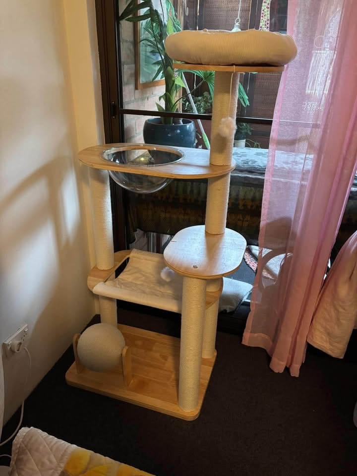 Customer photo review of NUMERI® 5-Tier Wooden Cat Tree with Scratching Posts & Play Features
