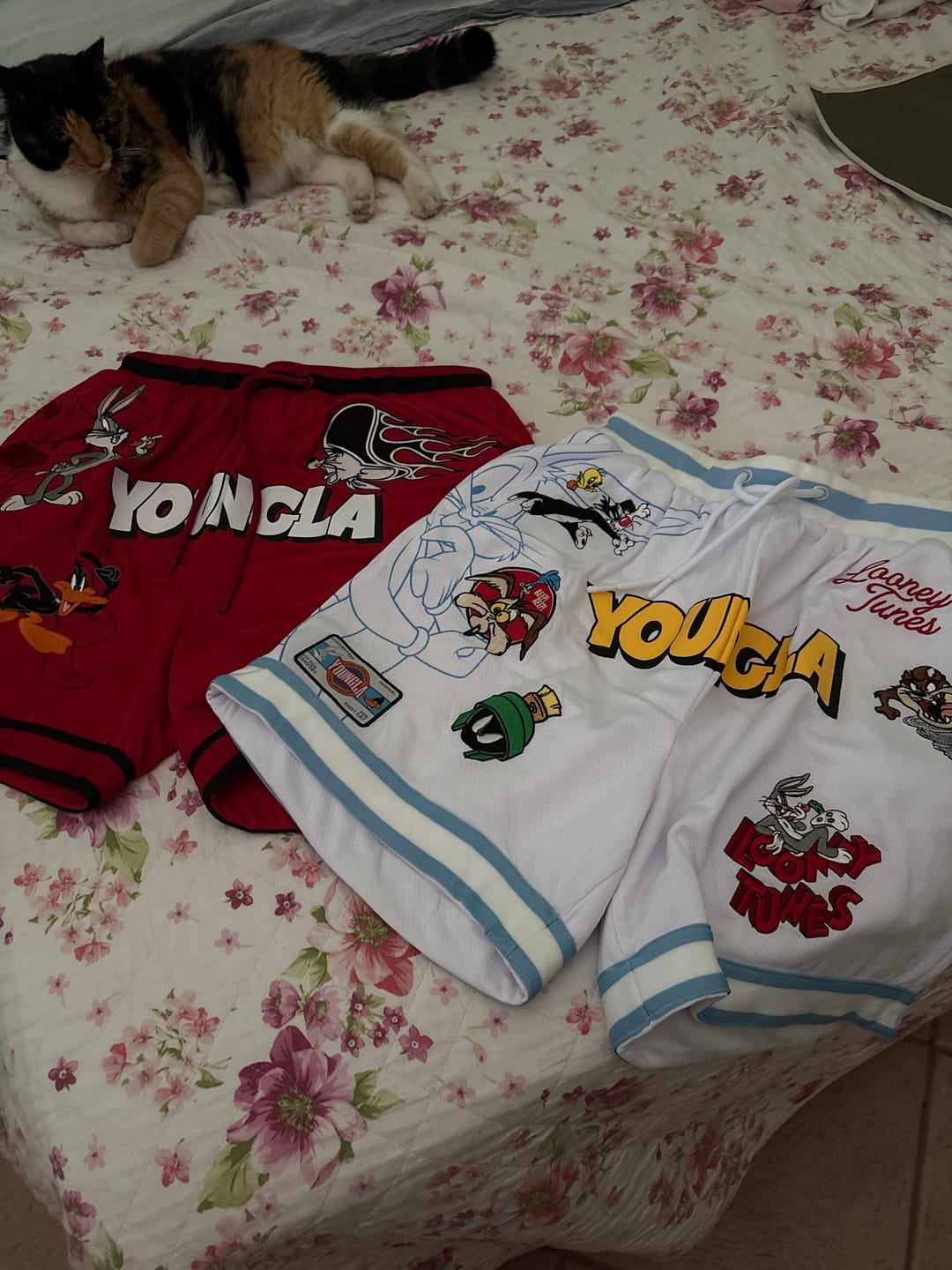 Customer photo review of 1071 - Looney Tunes Embroidered Patch Shorts