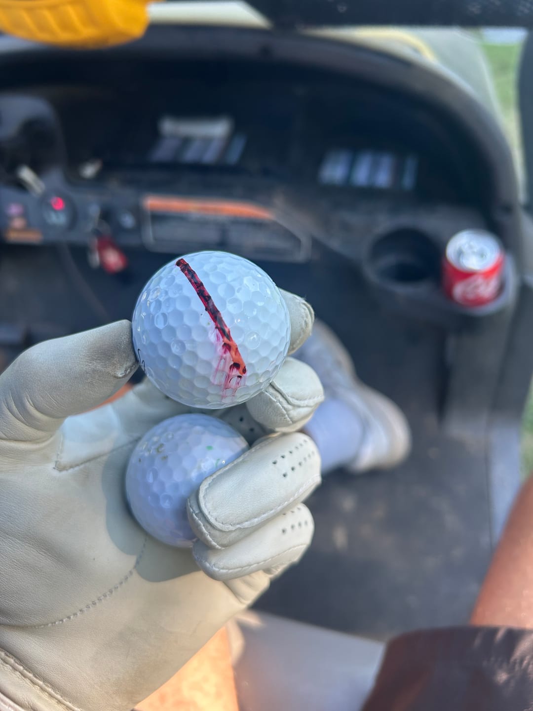 Customer photo review of Golf Pens