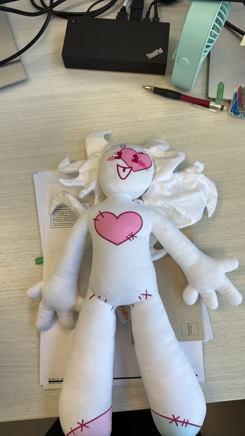 Customer photo review of Original Character (OC) Design Plush