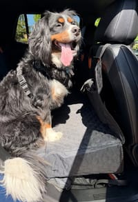 Customer photo review of Aktoclean RoadBed™️ – Extension de banquette rigide pour chien