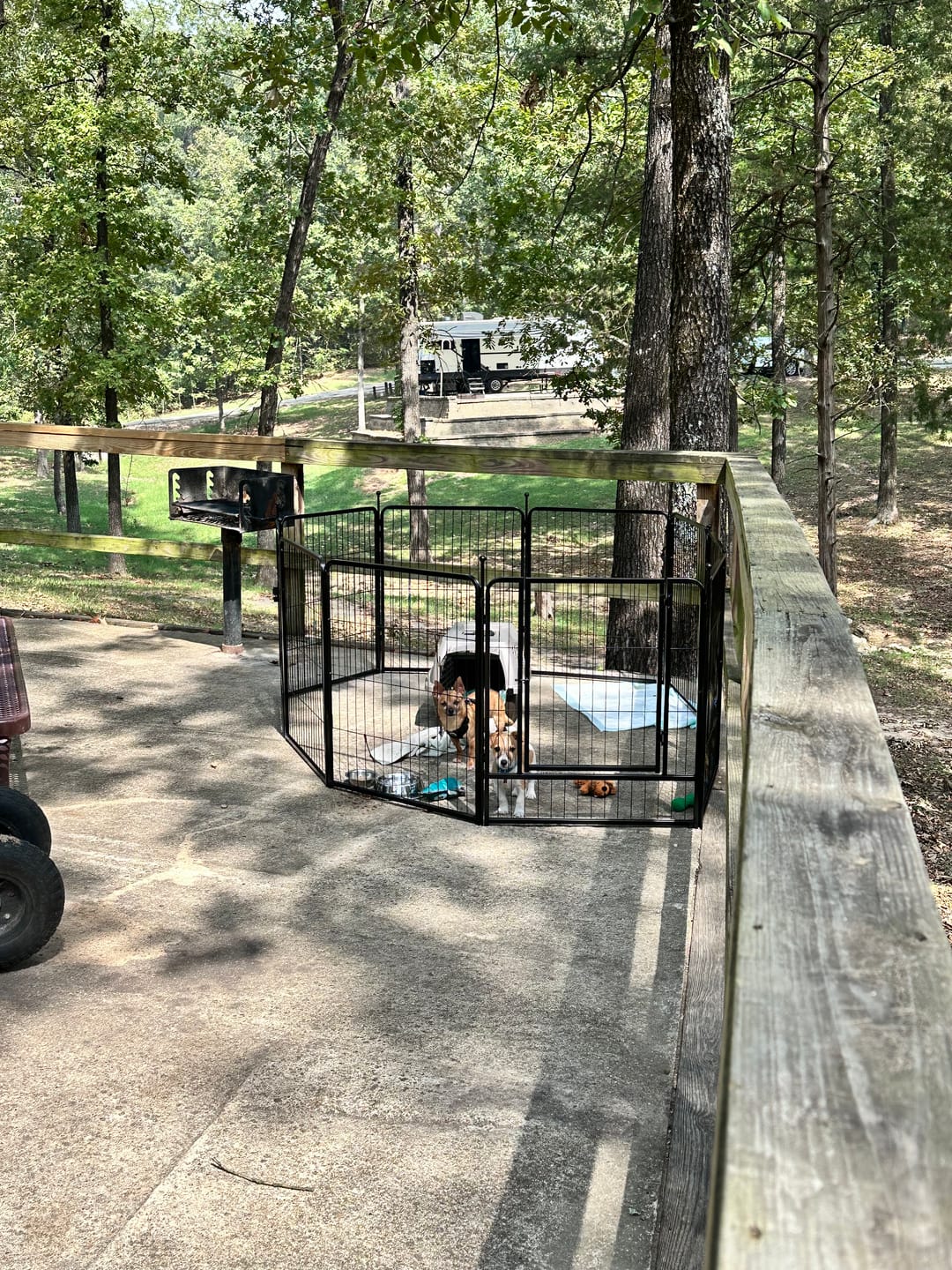Customer photo review of Instant Dog Playpen – Quick Setup for RV Camping