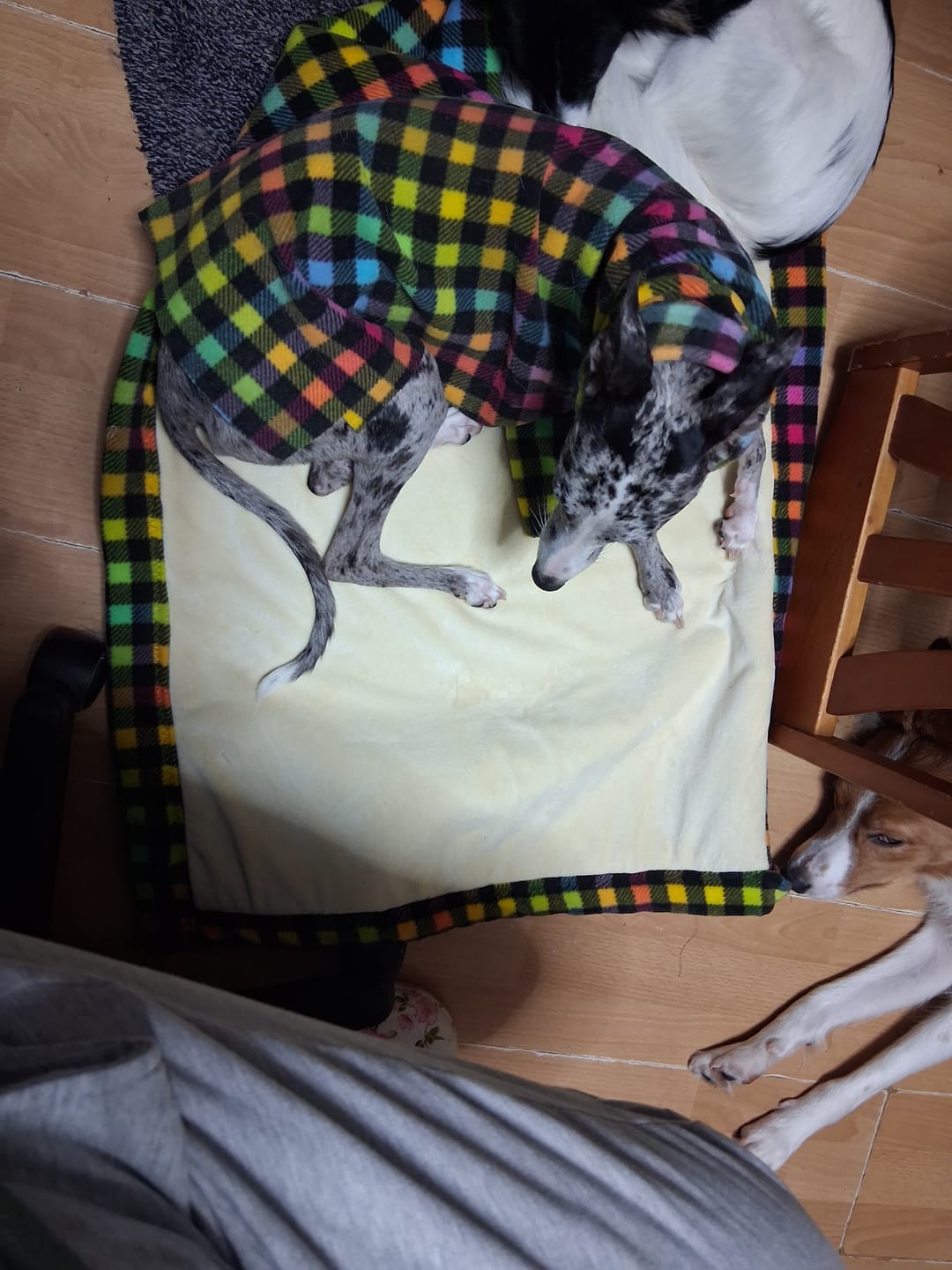 Customer photo review of Colour Burst Check Anti Pill Polar Fleece Fabric