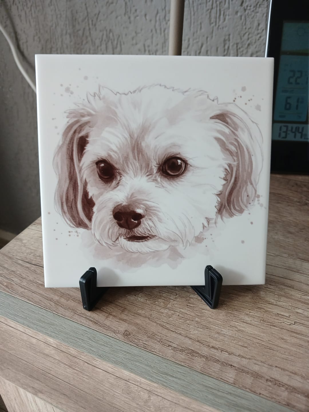 Customer photo review of Sepia Vintage Portret Tegeltje